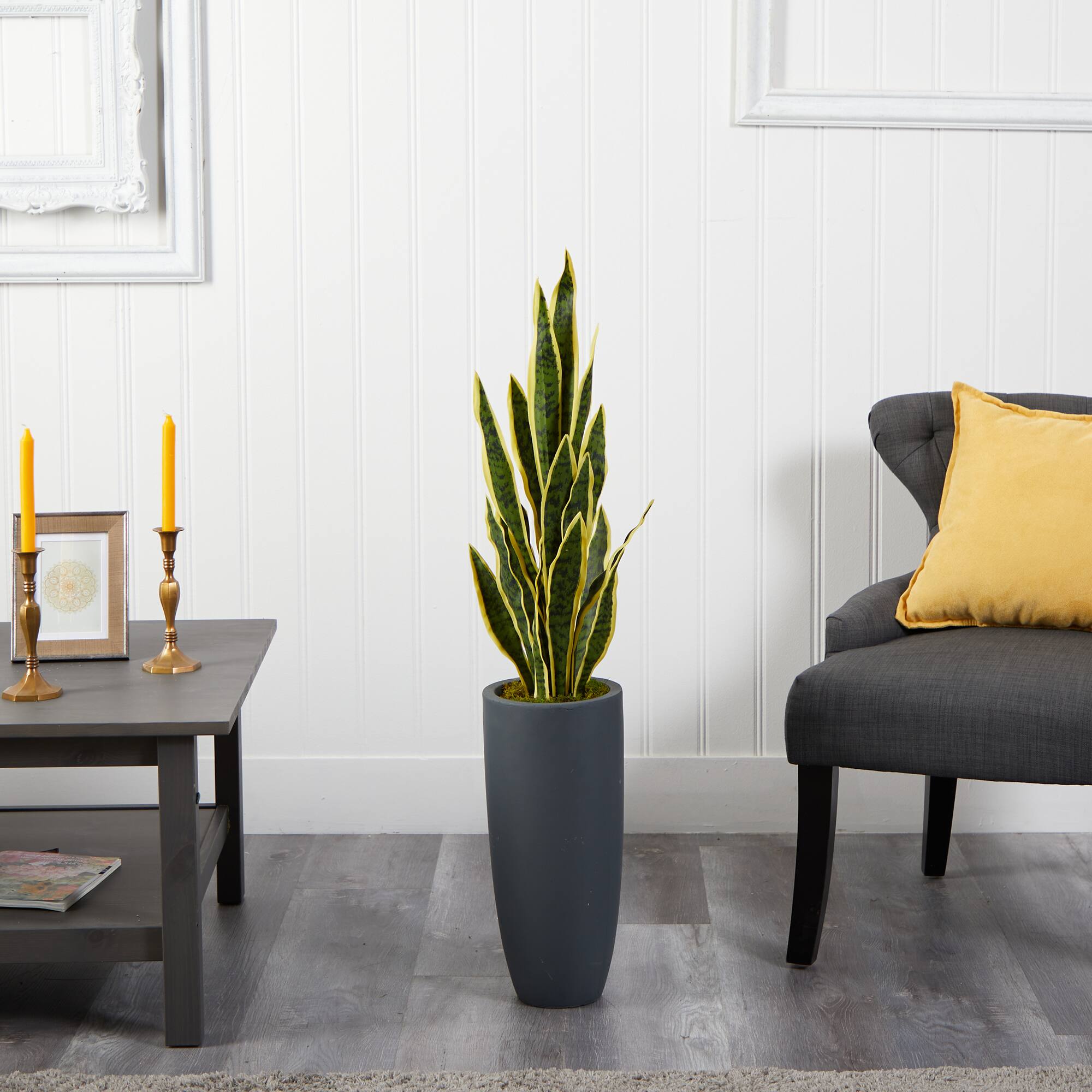 3.5ft. Snake Plant in Decorative Gray Planter